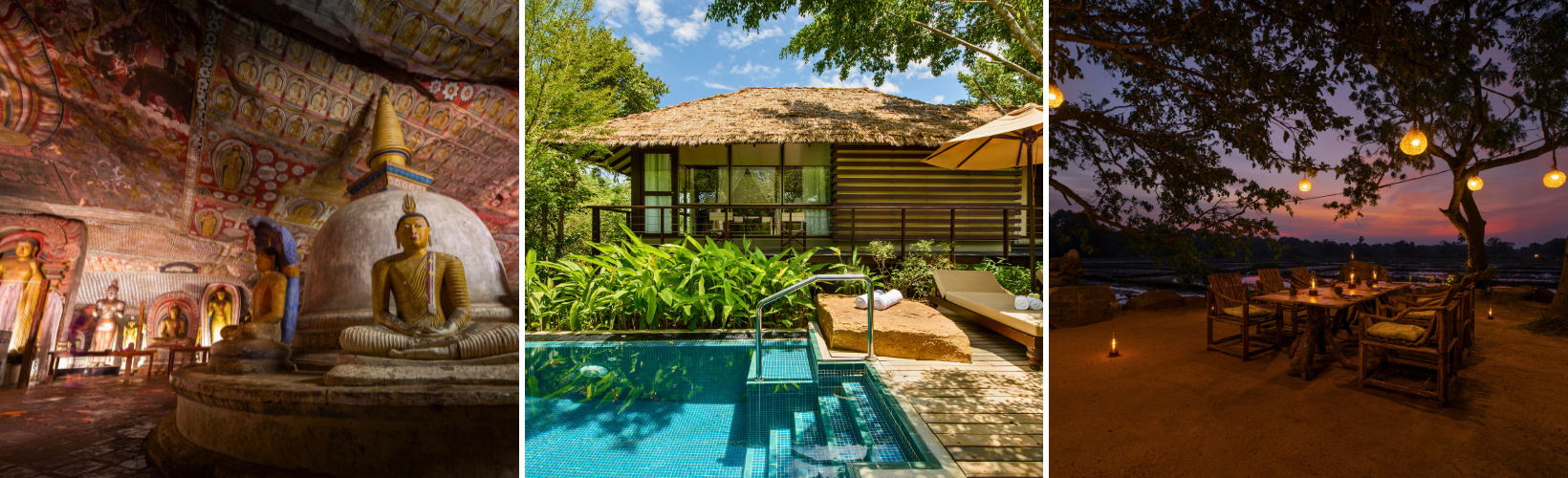 Arrival — Dambulla — Anuradhapura