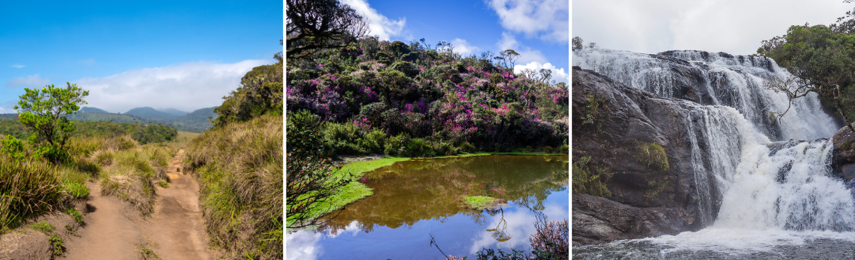 Horton Plains & World's End