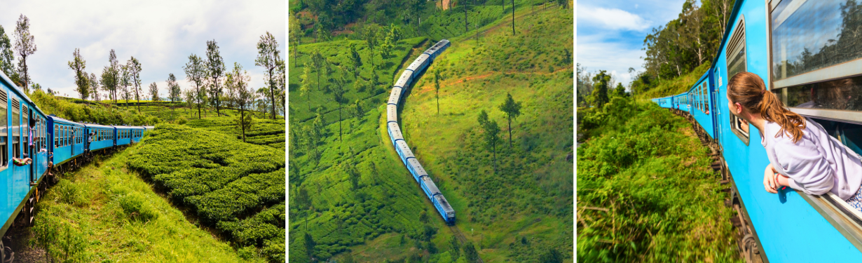 Nuwara Eliya — Ella