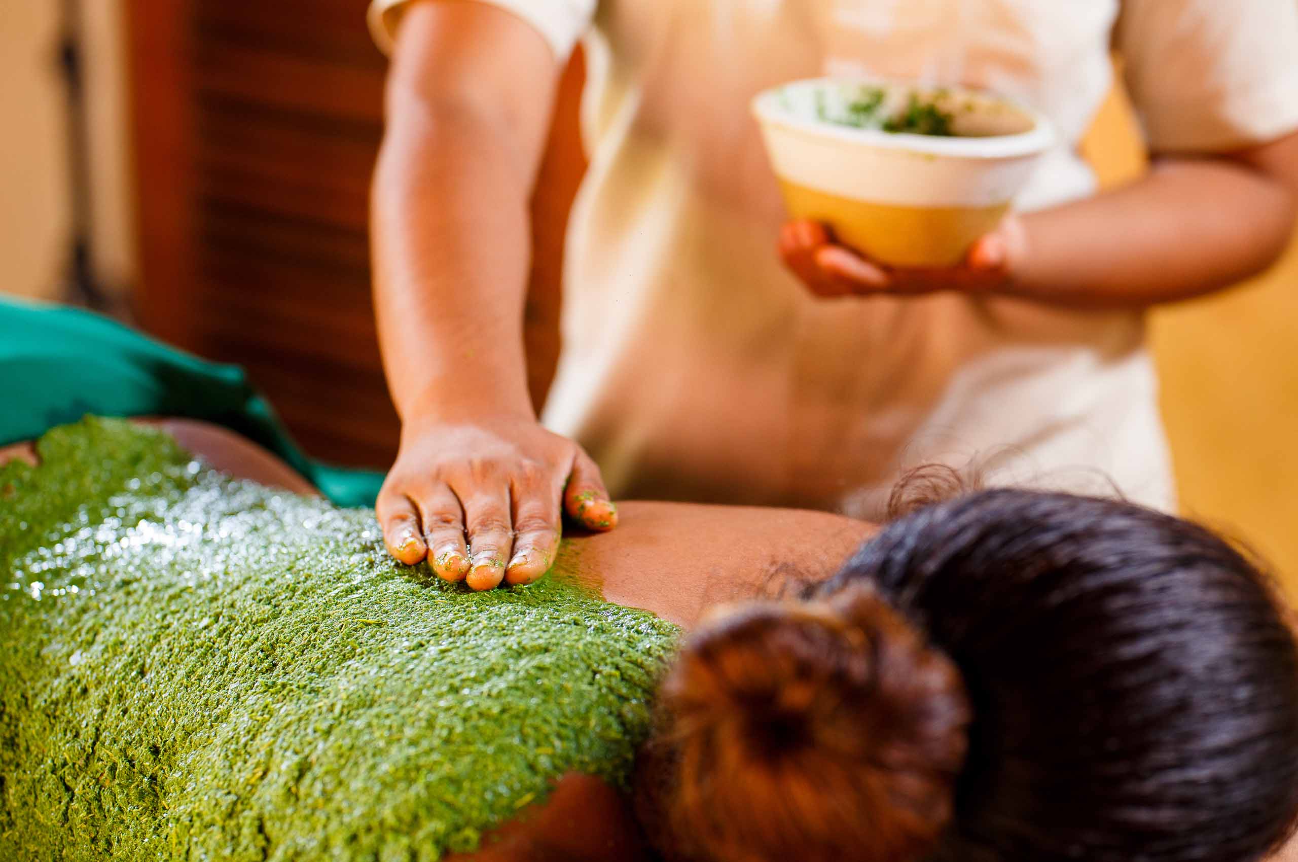 14 Nights Purification & Revitalization Ayurveda Program